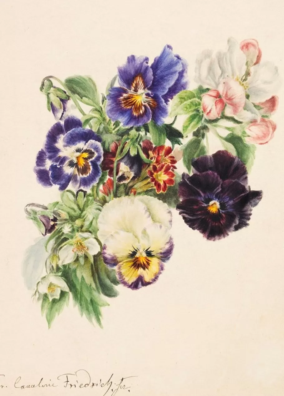 Women Lazybones Art Print Small Bouquet