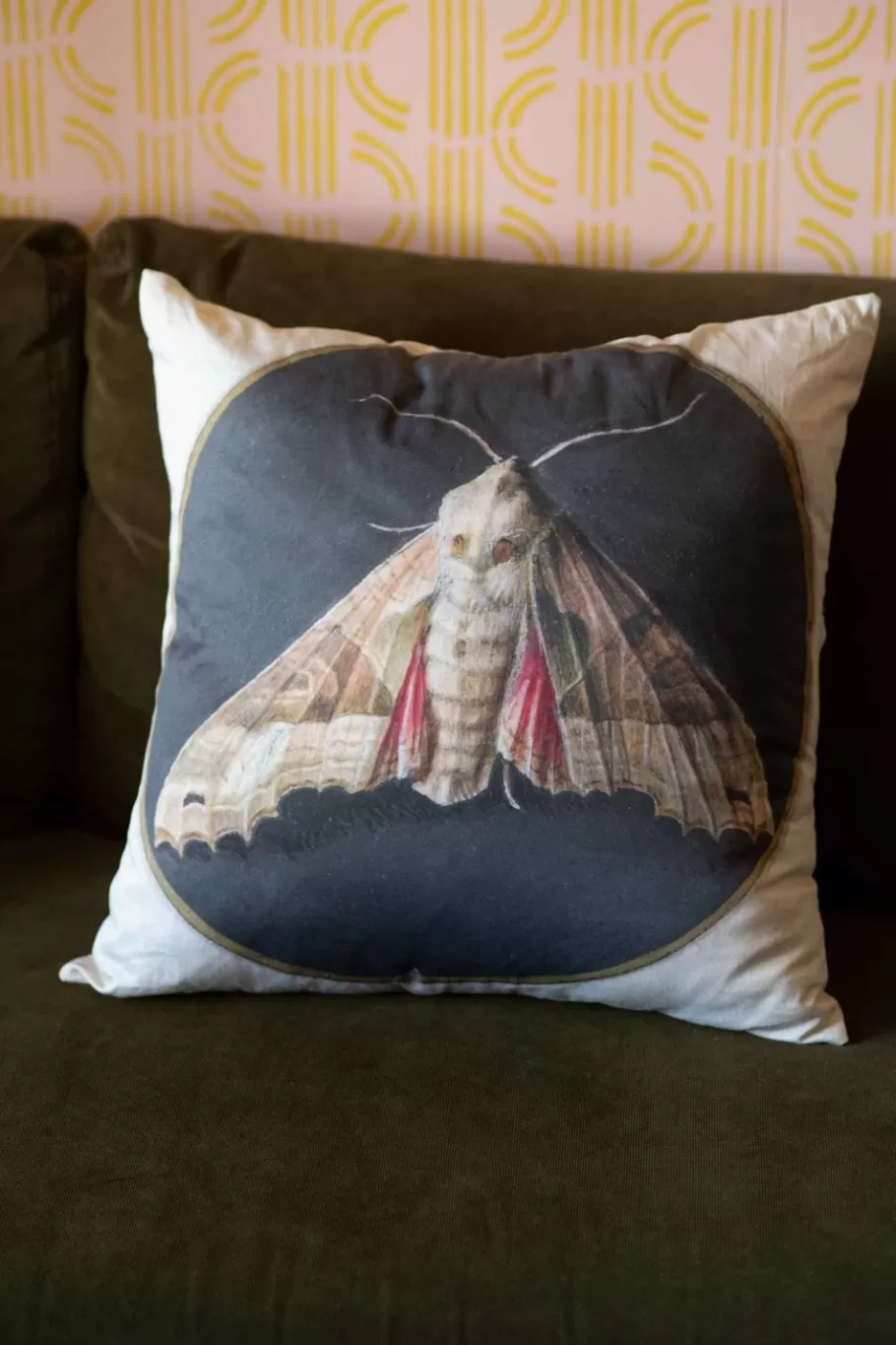 Women Lazybones Moth Cushion Cover *Organic Cotton