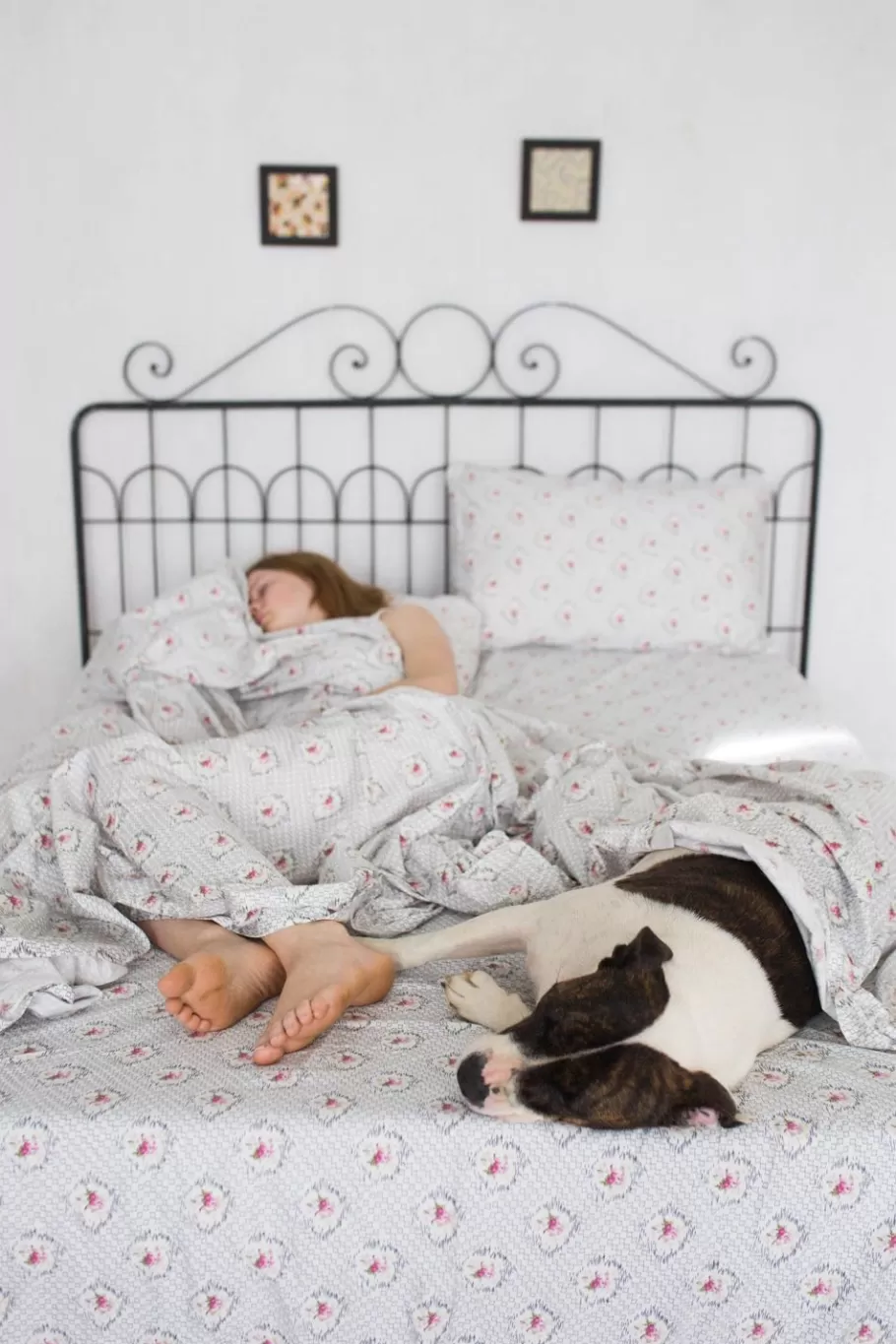 sheet_set_in_vienna_organic_cotton_6.webp Women Lazybones Sheet Set In Vienna *Organic Cotton