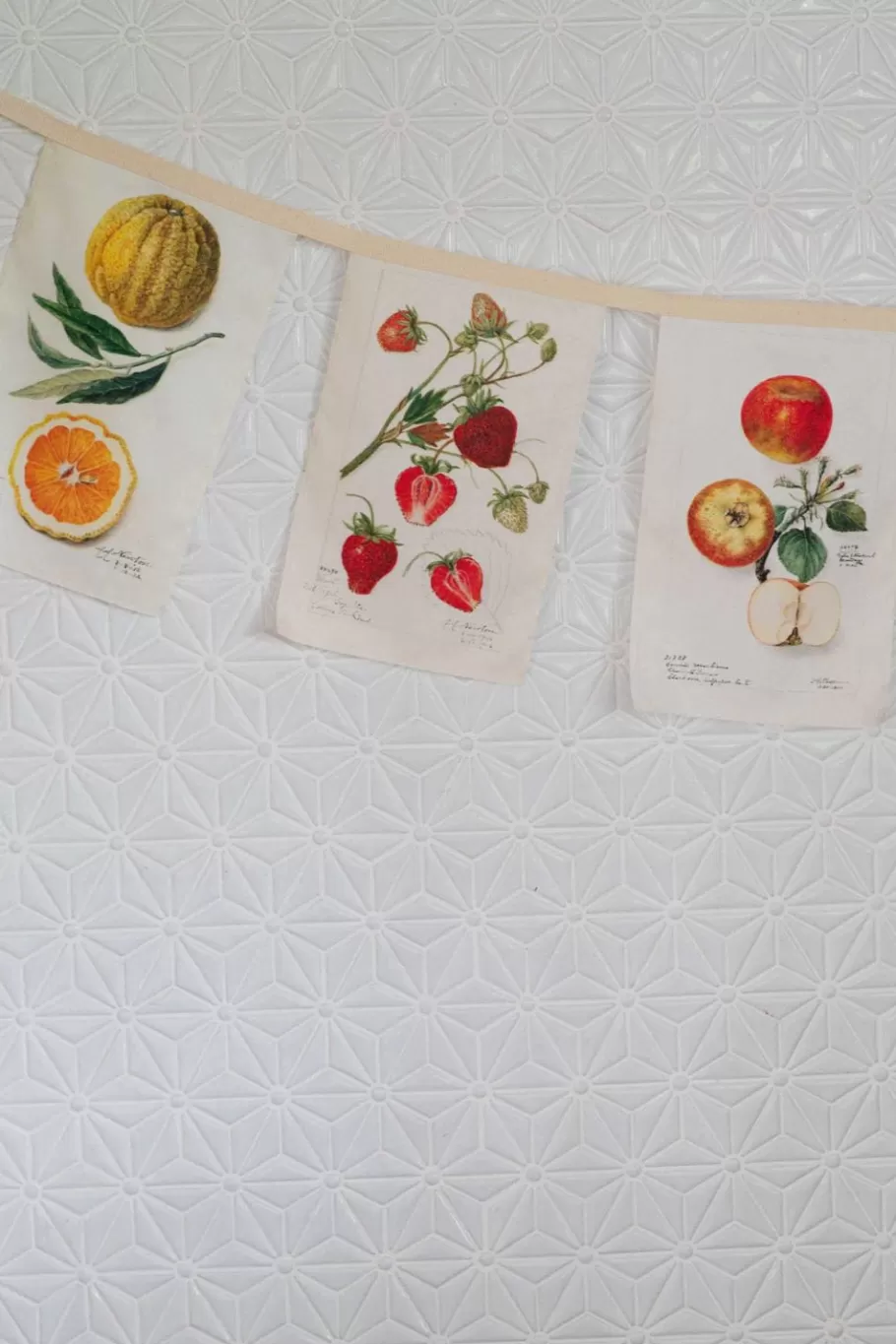 Women Lazybones Vintage Fruit Garland